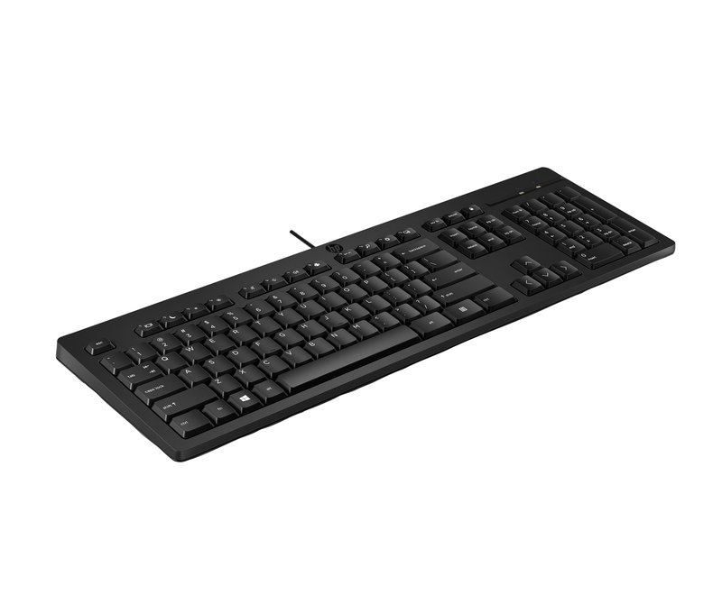 HP 125 G2 USB Wired Keyboard, Sanitizable, Copilot Key - Black - US/RUS thumbnail 2