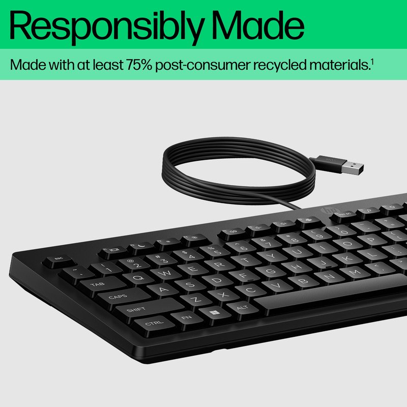 HP 125 G2 USB Wired Keyboard, Sanitizable, Copilot Key - Black - US/RUS thumbnail 6