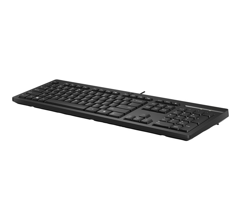 HP 125 G2 USB Wired Keyboard, Sanitizable, Copilot Key - Black - ESTONIAN thumbnail 3